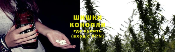 дмт Аркадак