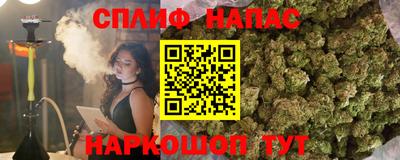 соль ск Новоалександровск