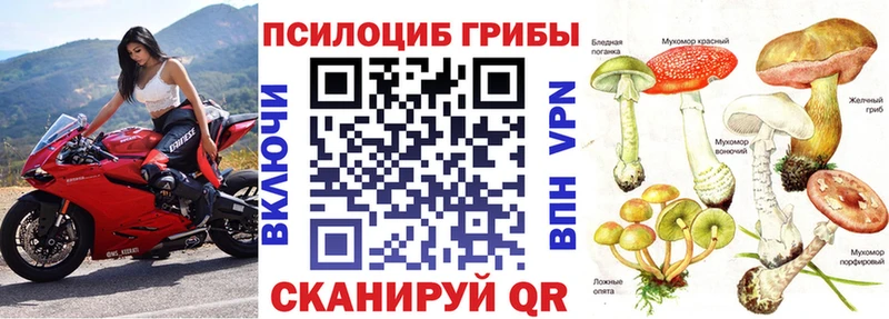 Псилоцибиновые грибы Psilocybine cubensis Асбест