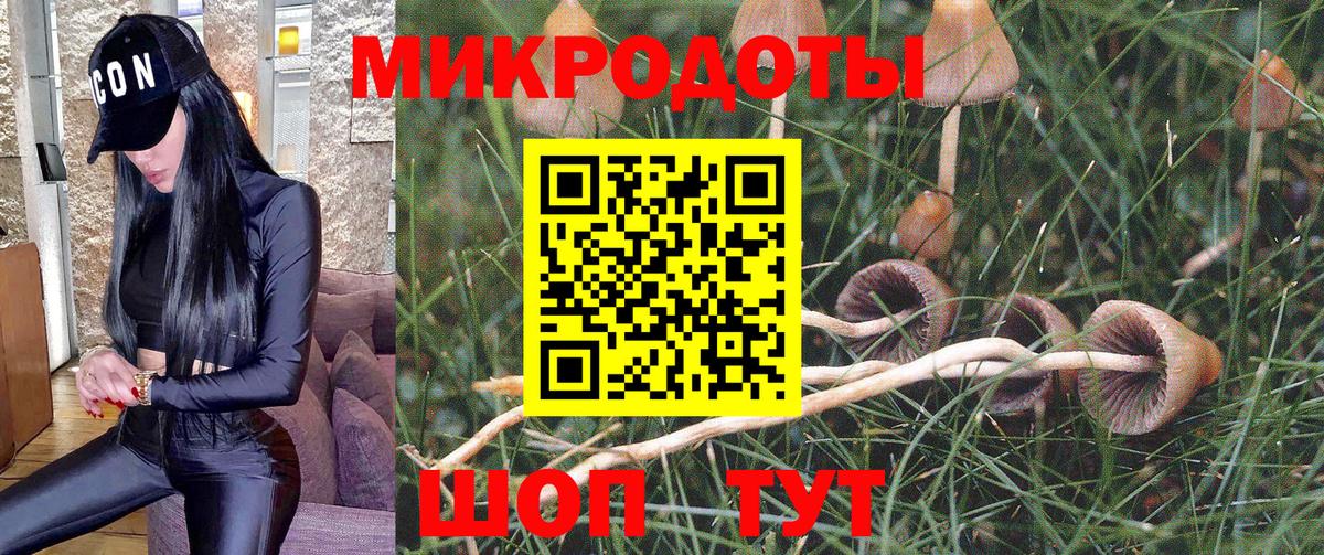 Псилоцибиновые грибы Cubensis Асбест